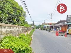 ขายที่ดิน เนื้อที่ 1 งาน 30 ตร.วา นาป่า ชลบุรี-202506271539001751013540892.jpg