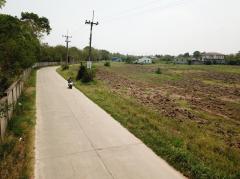 ขาย ที่ดิน เขาใหญ่ ต.​ขนงพระ​ 51 ไร่ ใกล้ตัวอ.ปากช่องมาก เหมาะทำจัดสรร-202506271601531751014913523.jpg