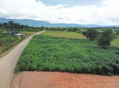 ขาย ที่ดิน เขาใหญ่ ต.โป่งตาลอง อ.ปากช่อง 1 ไร่ 1 งาน 28 ตรว ทำเลดีที่สุดในย่านนี้-202506271614301751015670195.jpg