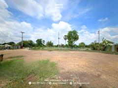 ที่ดินถมแล้ว 1-2-55 ไร่ (655 ตร.ว.) แบ่งขายเริ่มต้น 100 ตร.ว. ซอยรุ่งทรัพย์ (วัดบัวแก้ววนาราม) บ้านปทุม สามโคก ปทุมธานี -202506271623151751016195924.jpg