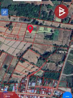 ขายที่ดิน เนื้อที่ 3 ไร่ 3 งาน 65 ตร.วา นายม อำนาจเจริญ-202506271647571751017677433.jpg