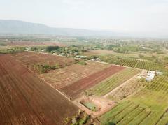 ขาย ที่ดิน เขาใหญ่ ​ต.​โป่งตาลอง​ อ.ปากช่อง 5 ไร่ เห็นทิวเขา สวยสุดๆ-202506271843431751024623796.jpg