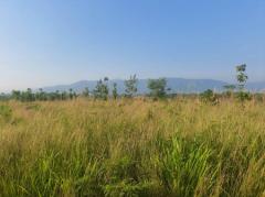 ขาย ที่ดิน เขาใหญ่  วิวสวยเกินคำบรรยาย ต.โป่งตาลอง อ.ปากช่อง 5 ไร่-202506271843541751024634406.jpg