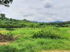 ขาย ที่ดิน ต.ขะอม อ.แก่งคอย 13 ไร่ ติดคลอง มีน้ำตลอดปี หายาก และวิวภูเขา-202506271847521751024872063.jpg