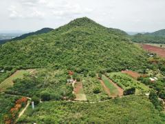 ขาย ที่ดิน ต. หนองน้ำแดง อ.ปากช่อง จ.นครราชสีมา เขาใหญ่ 4 ไร่ มองเห็นทิวเขา สวยงามมาก-202506271854451751025285787.jpg