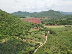 ขาย ที่ดิน ต. หนองน้ำแดง อ.ปากช่อง จ.นครราชสีมา เขาใหญ่ 4 ไร่ มองเห็นทิวเขา สวยงามมาก-202506271854461751025286776.jpg