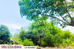 LK-904483 ที่ดินคำตากล้า 19 ไร่ 388 ตร.ว. สกลนคร ใกล้วัดคีรีวรรณวนาราม-202506272058441751032724731.jpg