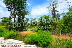 WR-874331 ที่ดิน 76 ไร่ 174 ตร.ว. เมืองหนองบัวลำภู ใกล้สำนักงานเทศบาลเมืองหนองบัวลำภู-202506272158311751036311842.jpg