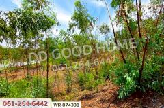 WR-874331 ที่ดิน 76 ไร่ 174 ตร.ว. เมืองหนองบัวลำภู ใกล้สำนักงานเทศบาลเมืองหนองบัวลำภู-202506272158321751036312424.jpg
