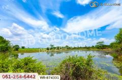 WR-874331 ที่ดิน 76 ไร่ 174 ตร.ว. เมืองหนองบัวลำภู ใกล้สำนักงานเทศบาลเมืองหนองบัวลำภู-202506272158331751036313019.jpg