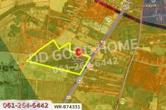 WR-874331 ที่ดิน 76 ไร่ 174 ตร.ว. เมืองหนองบัวลำภู ใกล้สำนักงานเทศบาลเมืองหนองบัวลำภู-202506272158351751036315856.jpg