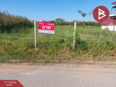 ขายที่ดินถมแล้ว เนื้อที่ 1 งาน 11 ตร.วา ลาดกระบัง กรุงเทพมหานคร-202506280211071751051467300.jpg