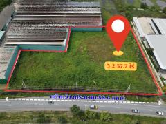 ขาย ที่ดินเปล่ารวม 4 โฉนด ติดถนนสุขุมวิท ตะพง – เมืองระยอง เนื้อที่รวม 5-2-57.7 ไร่ หน้ากว้าง ติดถนนใหญ่ เดินทางสะดวก-202506280945061751078706995.jpg