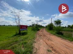 ขายที่ดิน เนื้อที่ 3 ไร่ 88 ตร.วา บ้านฝาง ขอนแก่น-202506281112211751083941048.jpg