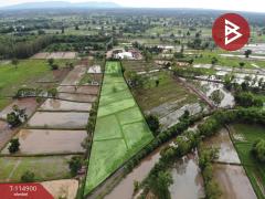 ขายที่ดิน เนื้อที่ 6 ไร่ 2 งาน 80.8 ตร.วา บ้านฝาง ขอนแก่น-202506281129011751084941364.jpg