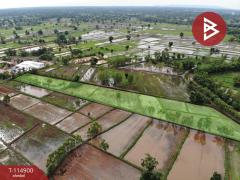 ขายที่ดิน เนื้อที่ 6 ไร่ 2 งาน 80.8 ตร.วา บ้านฝาง ขอนแก่น-202506281129011751084941964.jpg