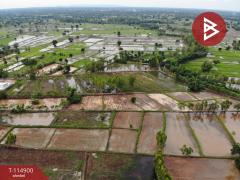 ขายที่ดิน เนื้อที่ 6 ไร่ 2 งาน 80.8 ตร.วา บ้านฝาง ขอนแก่น-202506281129051751084945035.jpg
