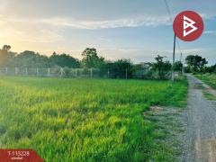 ขายที่ดิน 1 ไร่ ดอนเจดีย์ สุพรรณบุรี-202506281131481751085108129.jpg
