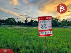 ขายที่ดิน 1 ไร่ ดอนเจดีย์ สุพรรณบุรี-202506281131481751085108682.jpg