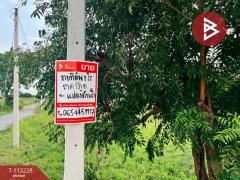 ขายที่ดิน 1 ไร่ ดอนเจดีย์ สุพรรณบุรี-202506281131491751085109757.jpg