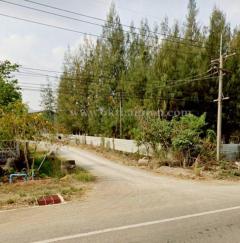 ที่ดิน ใกล้โรงเรียนซับบอนวิทยาคม ทางหลวงหมายเลข 225 ต.กันจุ อ.บึงสามพัน จ.เพชรบูรณ์-202506281144081751085848473.jpg