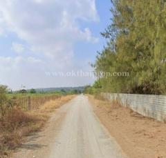 ที่ดิน ใกล้โรงเรียนซับบอนวิทยาคม ทางหลวงหมายเลข 225 ต.กันจุ อ.บึงสามพัน จ.เพชรบูรณ์-202506281144171751085857133.jpg