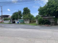 ขายถูกที่ดินเปล่าแปลงเล็ก 163 ตร.ว. ซ.เฉลิมพระเกียรติ ร.9 38-202506281304331751090673606.jpeg