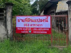 ขายถูกที่ดินเปล่าแปลงเล็ก 163 ตร.ว. ซ.เฉลิมพระเกียรติ ร.9 38-202506281304371751090677251.jpg