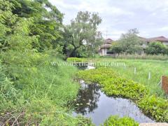 ที่ดิน หมู่บ้าน สวนเอก เลคปาร์ค ลําลูกกา ปทุมธานี-202506281342361751092956914.jpg
