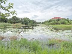 ที่ดิน หมู่บ้าน สวนเอก เลคปาร์ค ลําลูกกา ปทุมธานี-202506281342501751092970757.jpg