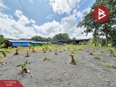 ขายที่ดิน เนื้อที่ 3 งาน 5.3 ตร.วา ท่าใหม่ จันทบุรี-202506281442091751096529079.jpg