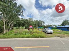 ขายที่ดิน เนื้อที่ 3 งาน 5.3 ตร.วา ท่าใหม่ จันทบุรี-202506281442091751096529639.jpg