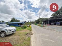 ขายที่ดิน เนื้อที่ 3 งาน 5.3 ตร.วา ท่าใหม่ จันทบุรี-202506281442101751096530766.jpg
