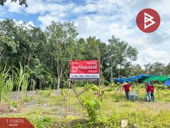 ขายที่ดิน เนื้อที่ 3 งาน 5.3 ตร.วา ท่าใหม่ จันทบุรี-202506281442111751096531322.jpg