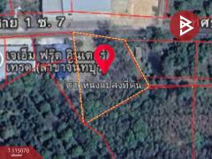ขายที่ดิน เนื้อที่ 3 งาน 5.3 ตร.วา ท่าใหม่ จันทบุรี-202506281442121751096532444.jpg
