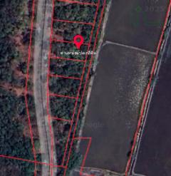 ขายที่ดิน 180-199.6 ตรว.ในสนามกอล์ฟไดนาสตี้ บางเลน นครปฐม วิวทุ่งนา-202506281451071751097067458.jpg