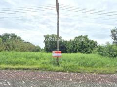 ที่ดินถมแล้ว หมู่บ้าน สวนเอก เลคปาร์ค ลําลูกกา ปทุมธานี-202506281737541751107074648.jpg