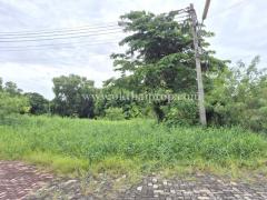 ที่ดินถมแล้ว หมู่บ้าน สวนเอก เลคปาร์ค ลําลูกกา ปทุมธานี-202506281738121751107092145.jpg