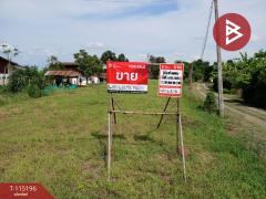 ขายที่ดิน-เนื้อที่-3-งาน-30-ตร.วา-ป่าเซ่