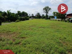 ขายที่ดิน เนื้อที่ 3 งาน 30 ตร.วา ป่าเซ่า อุตรดิตถ์-202506281742561751107376979.jpg