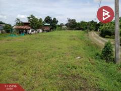 ขายที่ดิน เนื้อที่ 3 งาน 30 ตร.วา ป่าเซ่า อุตรดิตถ์-202506281742581751107378103.jpg
