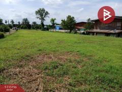 ขายที่ดิน เนื้อที่ 3 งาน 30 ตร.วา ป่าเซ่า อุตรดิตถ์-202506281742591751107379191.jpg