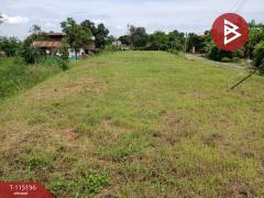 ขายที่ดิน เนื้อที่ 3 งาน 30 ตร.วา ป่าเซ่า อุตรดิตถ์-202506281743011751107381437.jpg