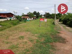 ขายที่ดิน เนื้อที่ 3 งาน 30 ตร.วา ป่าเซ่า อุตรดิตถ์-202506281743021751107382034.jpg