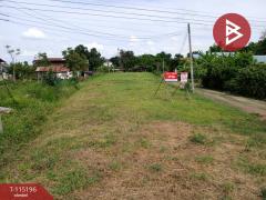 ขายที่ดิน เนื้อที่ 3 งาน 30 ตร.วา ป่าเซ่า อุตรดิตถ์-202506281743021751107382594.jpg