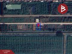 ขายที่ดิน เนื้อที่ 1 งาน คลองหลวง ปทุมธานี-202506291123251751171005964.jpg