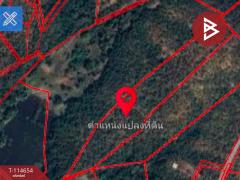 ขายที่ดิน เนื้อที่ 19 ไร่ 1 งาน 33 ตร.วา ไม้งาม ตาก-202506291147131751172433864.jpg