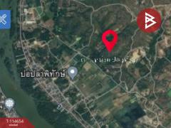 ขายที่ดิน เนื้อที่ 19 ไร่ 1 งาน 33 ตร.วา ไม้งาม ตาก-202506291147141751172434413.jpg
