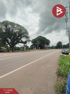  ขายที่ดิน เนื้อที่ 4 ไร่ 2 งาน 89.1 ตร.วา อาจสามารถ นครพนม-202506291347341751179654942.jpg