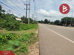  ขายที่ดิน เนื้อที่ 4 ไร่ 2 งาน 89.1 ตร.วา อาจสามารถ นครพนม-202506291347361751179656049.jpg